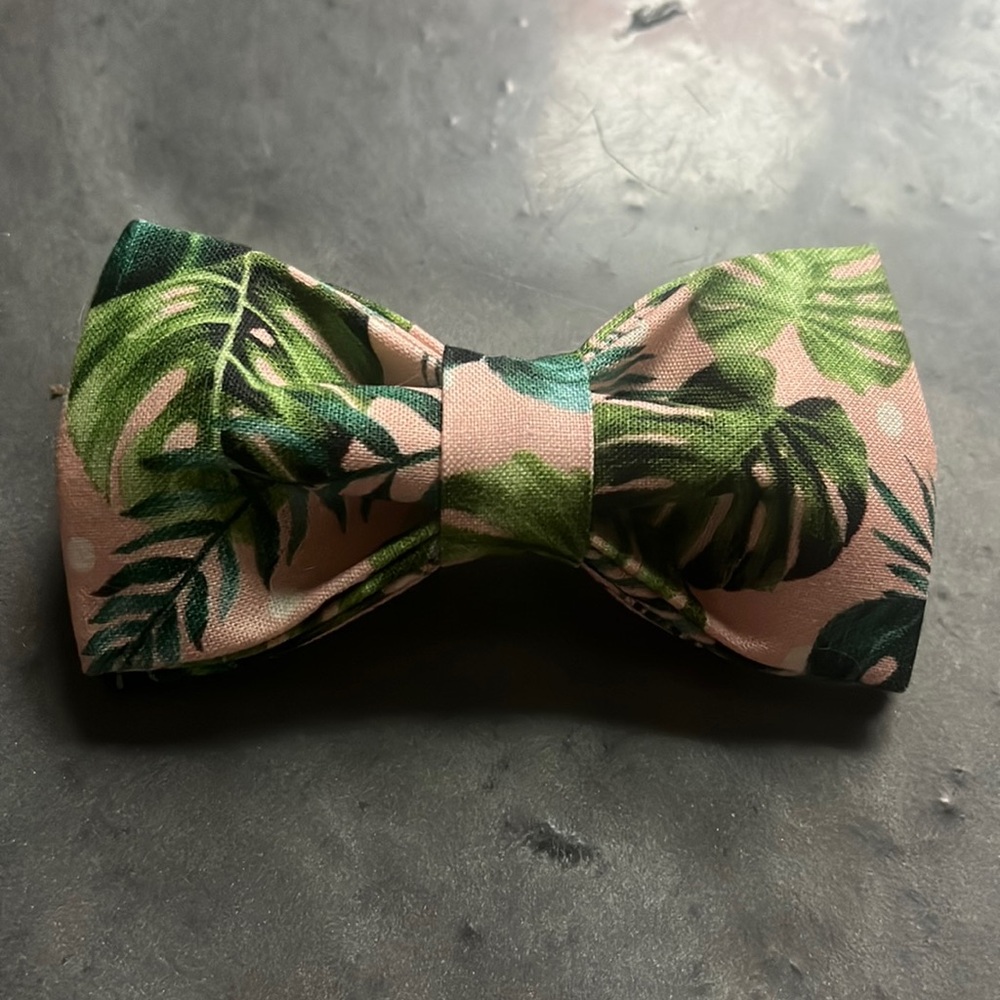 Tropical Pink and Green Bow Tie for Pet